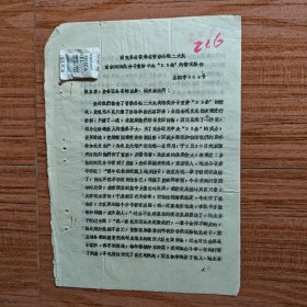 1965年在西充县晋新公礼二大队重新向四类分子宣讲中央25条的情况报告