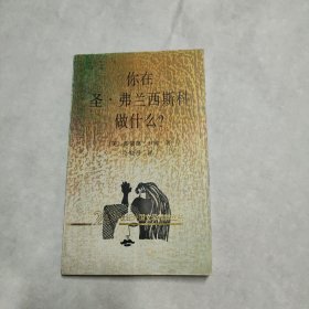 你在圣·弗兰西斯科做什么?：20世纪外国文学精粹丛书