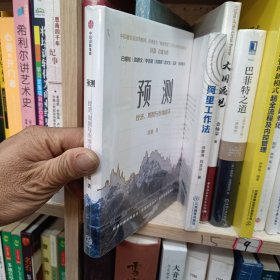 预测经济、周期与市场泡沫洪灏著中信出版社