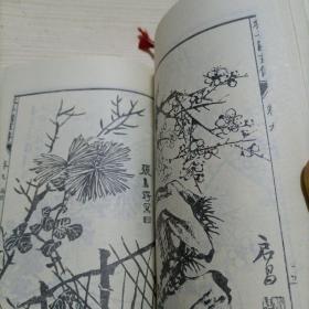 芥子园画传