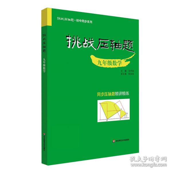 挑战压轴题·九年级数学