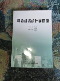 社會經(jīng)濟統(tǒng)計學(xué)原理