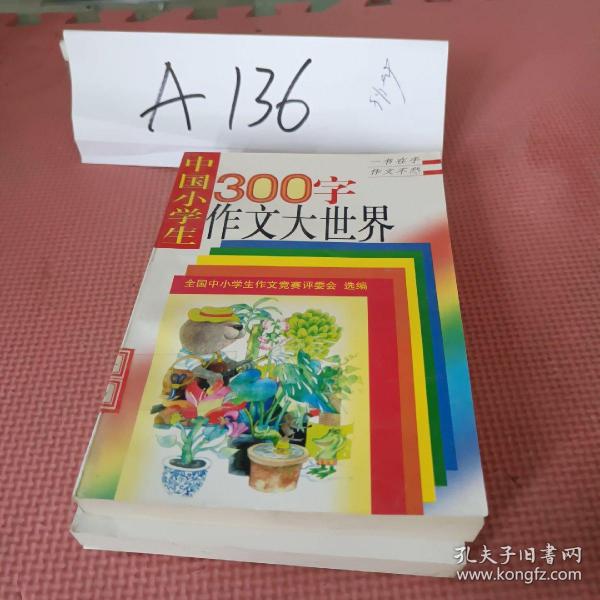 中国小学生300字作文大世界