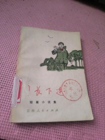 团长下连 短篇小说集