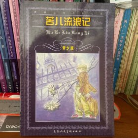 世界文学名著宝库：苦儿流浪记（青少版）