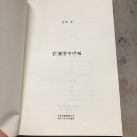 在细雨中呼喊