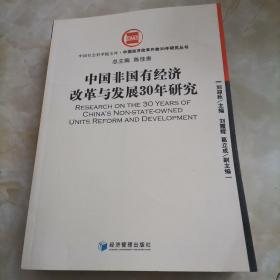 中国非国有经济改革与发展30年研究