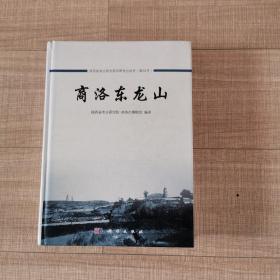 陕西省考古研究院田野考古报告（第58号）：商洛东龙山