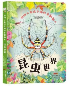 动物大发现手绘科普翻翻书：昆虫世界（欧洲生物学家联手知名插画家手绘科普，唯美淡水彩展示缤纷昆虫界！）