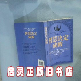 智慧决定成败 泓露沛霖 中国商业出版社