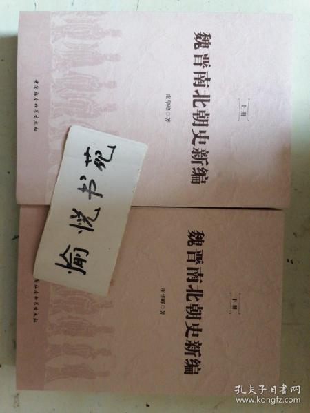 魏晋南北朝史新编（全二冊）