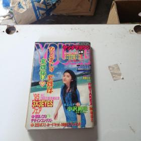 日文杂志1995年(34)