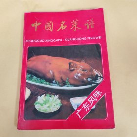 中国名菜谱 广东风味