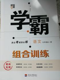 学霸组合训练，语文九年级全一册