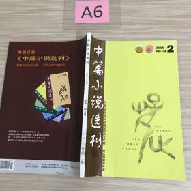 中篇小说选刊2006年2