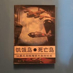 饥饿岛、死亡岛:日美瓜岛海陆空大血战纪实