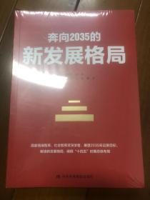 奔向2035的新发展格局