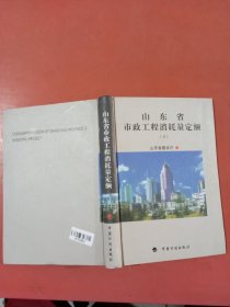 山东省市政工程消耗量定额下1.1千克