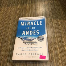 MIRACLE IN THE ANDES