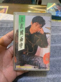 磁带 王杰-人在风雨中