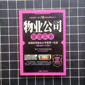 网络营销实务全书：突破传统营销平台的全新模式