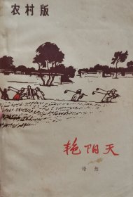 艳阳天