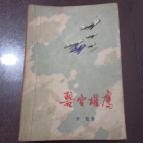 碧空雄鹰（品相如图看好再拍）