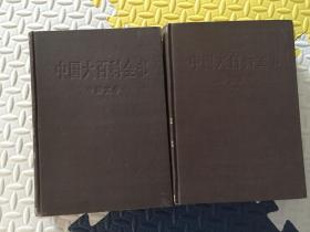中国大百科全书 中国文学 全两册 出版社样书 一版一印
