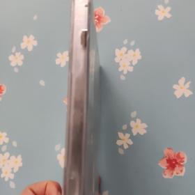 美国超级女生 凯丽格拉森 美梦成真