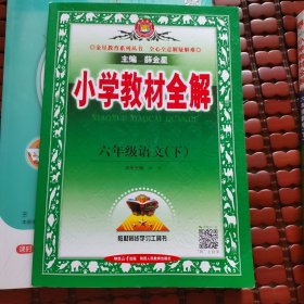 金星教育 小学教材全解：语文六下 小学教材全练六下，两册打包