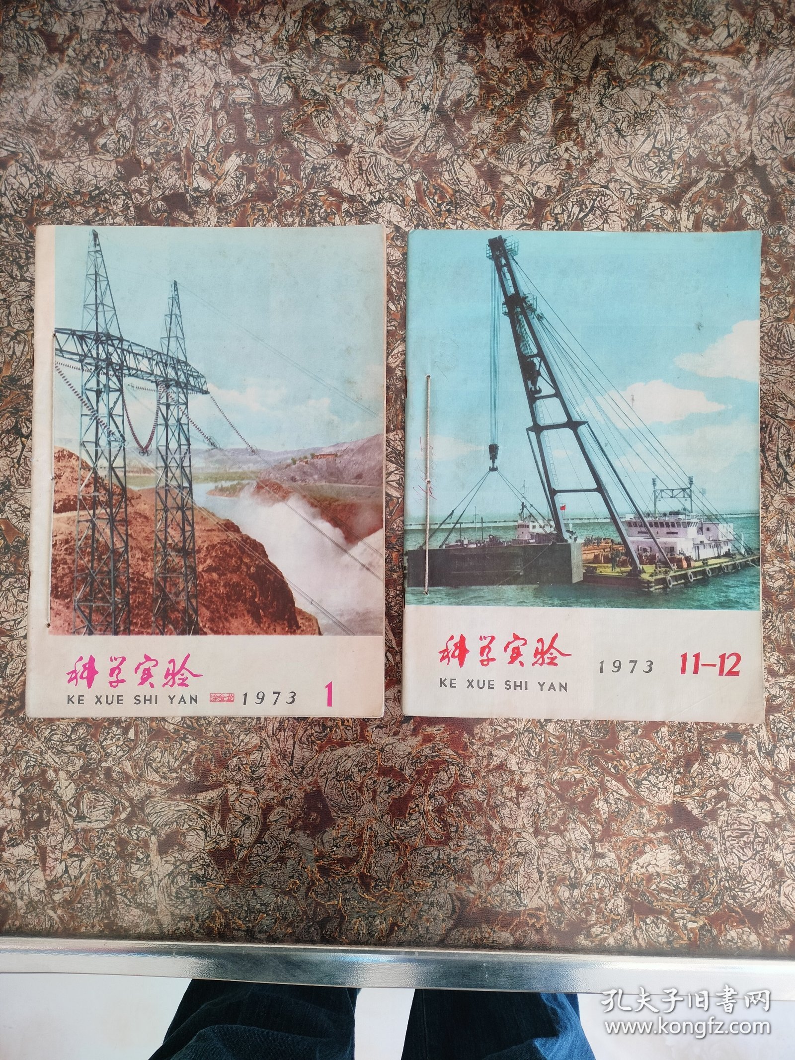 科学实验 1973全年1-12期全（11、12合刊）