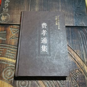 费孝通集/中国会科学院学者文选