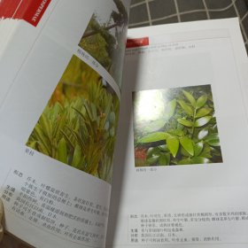 2000种植物原色图鉴 1-6缺7