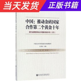 中国：推动金砖国家合作第二个黄金十年 国外战略智库纵论中国的前进步伐（之五）