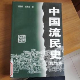 中国流民史（现代卷）