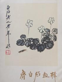 齐白石画辑(全12张)内页全新