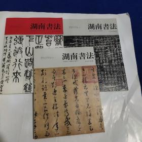 湖南书法2019第2.3.4期
