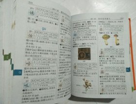 小学生标准词典（彩图版）