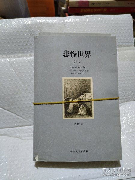 世界文学名著:悲惨世界(全译本)(套装共2册)