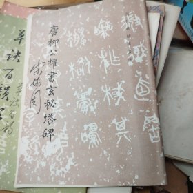 唐柳公权书玄秘塔碑---山东文艺出版社社长宋协周签名本 保真