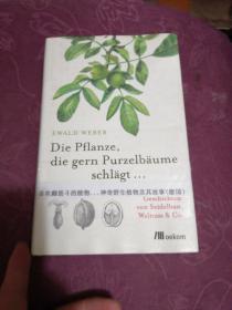 Die pflanze die gern purzelbaume schlagt 德文书 具体看图