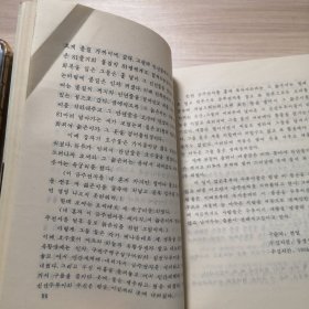 天安三岔路口的垂杨柳（朝鲜文）