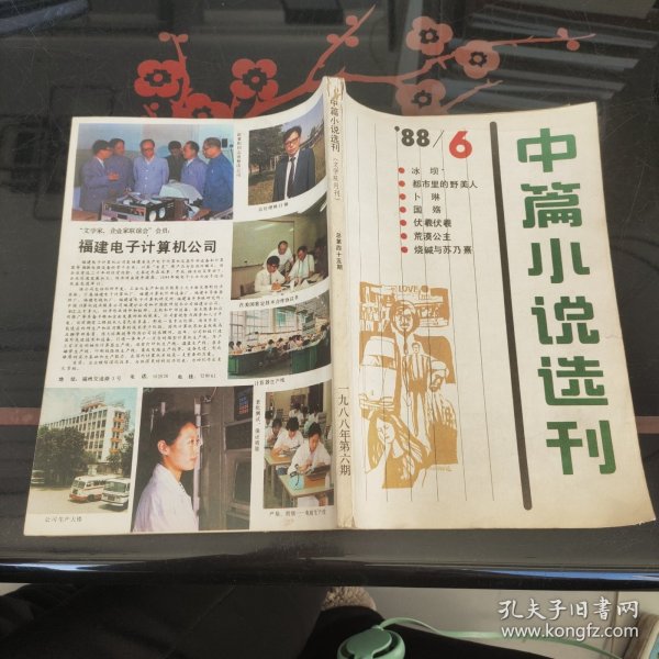 中篇小说选刊1988年6