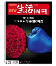 三联生活周刊杂志2017年第43期总第959期 中国病人跨境就医调查