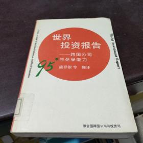 1995年世界投资报告:跨国公司与竞争能力