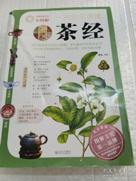 一次完全读懂茶经