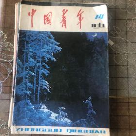 中国青年和科学画报，共4本
