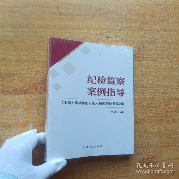 纪检监察案例指导——《中华人民共和国公职人员政务处分法》篇