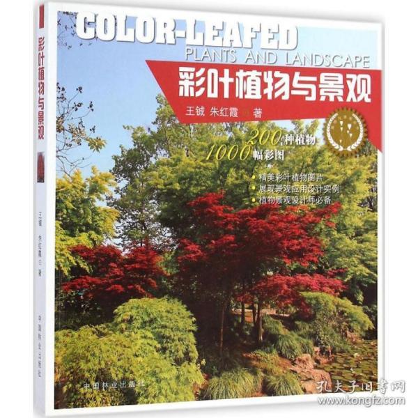 彩叶植物与景观 园林艺术 王钺，朱红霞 新华正版
