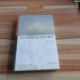 青少年犯罪与社会矫正研究/犯罪社会论坛（第四辑）